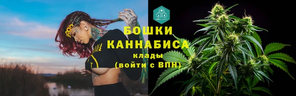 дживик Вязники