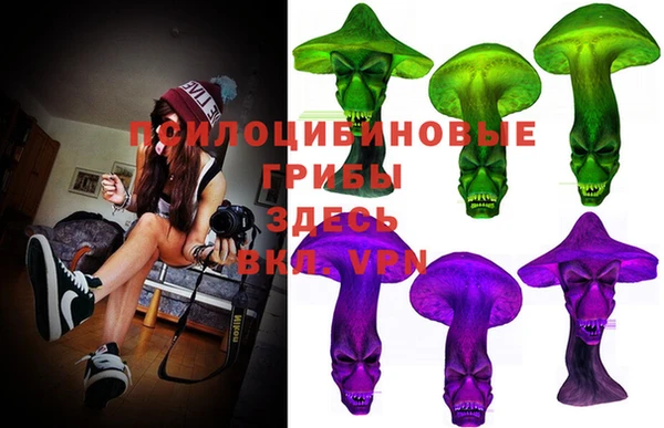дживик Вязники
